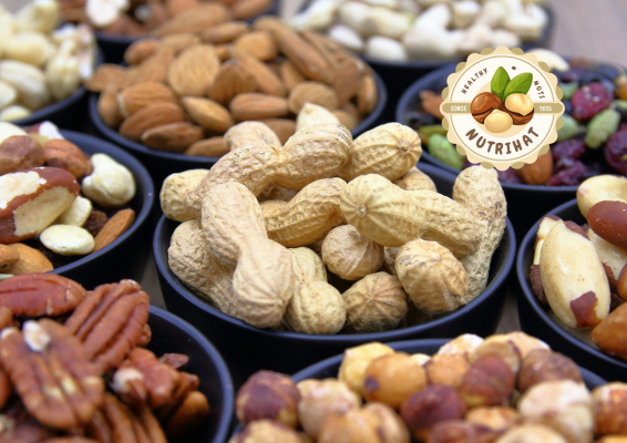 các loại hạt giàu protein