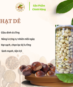 hạt dẻ