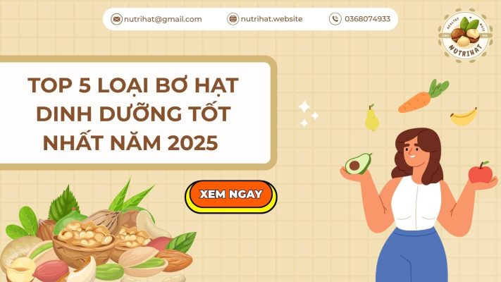 top 5 loại bơ hạt dinh dưỡng tốt nhất năm 2025